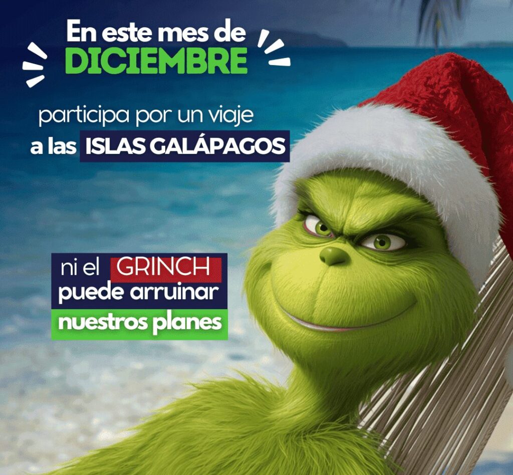 5 1 1 E1765419870794 1024x948